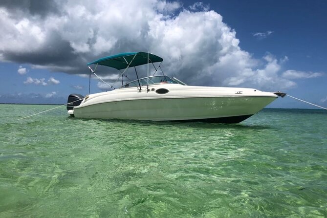 Private Full Day Charter - Stingray City, Starfish Point, Kaibo & Snorkeling - Key Details at a Glance