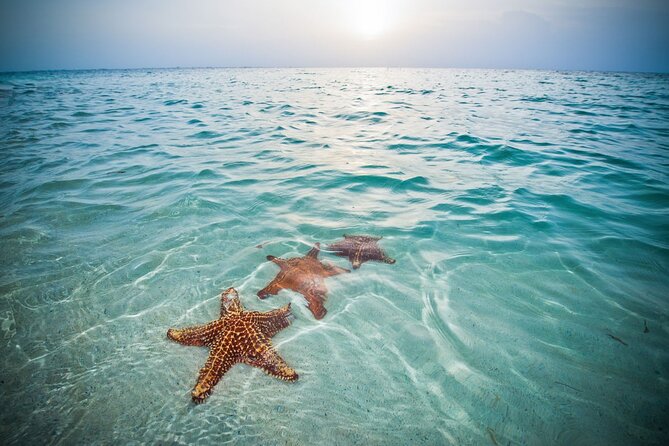 Private Full Day Charter - Stingray City, Starfish Point, Kaibo & Snorkeling - What This Six-Hour Boat Day Is Really Like