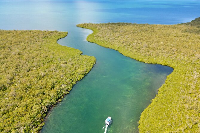 Private, Guided Boat Charters in The Cayman Islands - A private boat makes Grand Cayman feel more personal