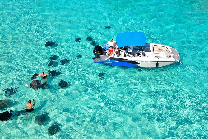 Private, Guided Boat Charters in The Cayman Islands - Stingray City is the main event