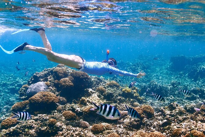 Private Half Day Boat Tour, 3 locations of your choice - Key points at a glance