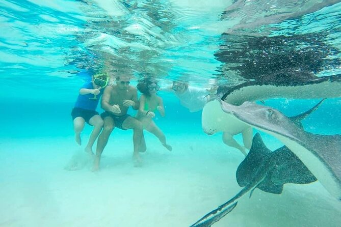 Private Half Day Boat Tour, 3 locations of your choice - Captain Humberto and the human side of the outing