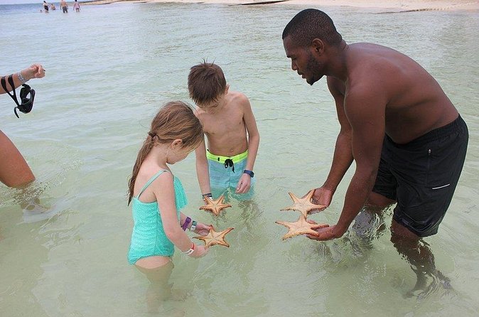 Private Half Day Stingray City, Snorkeling and Starfish Beach Tour - Starfish Beach for a Slower Finish