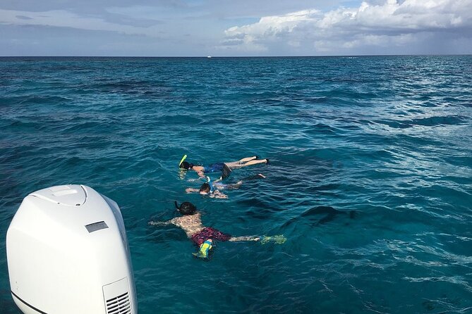 Private Half Day Stingray City, Snorkeling and Starfish Beach Tour - The Ride Into North Sound