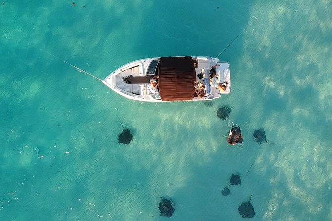 Private, luxury, custom charters to Stingray City, Snorkeling & More - Key things to know before booking