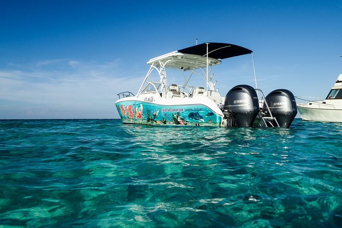 Private Stingray City and Snorkeling Half Day Charter for 6 Guest - The Best Fit for Families and Mixed-Age Groups