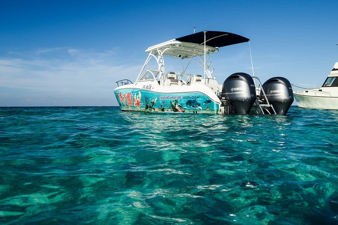 Private Stingray City Snorkeling and BioBay Charter for 10 Guests - BioBay After Dark