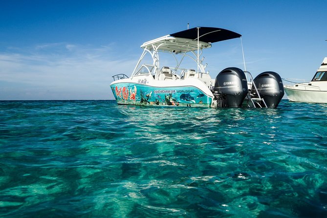 Private Stingray City Snorkeling and BioBay Charter for 6 Guests - Sunset gives the charter its best pause