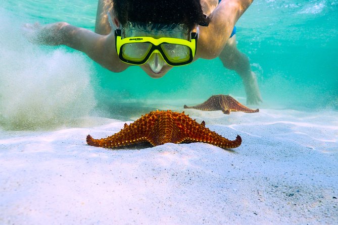 Private Stingray City Snorkeling and BioBay Charter for 6 Guests - The private boat time connects the afternoon