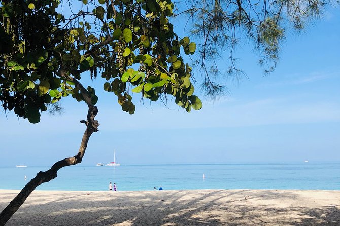 Private Swim Lesson or Triathlon Training on Seven Mile Beach! - What The One-Hour Session Can Cover