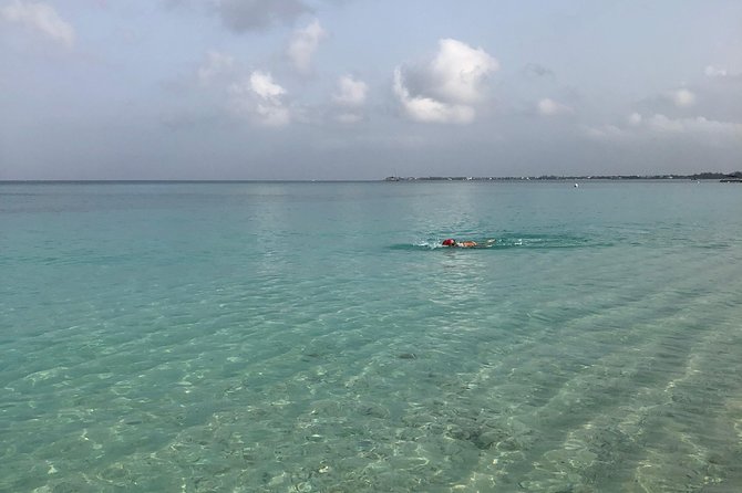 Private Swim Lesson or Triathlon Training on Seven Mile Beach! - Basic Skills For New Swimmers