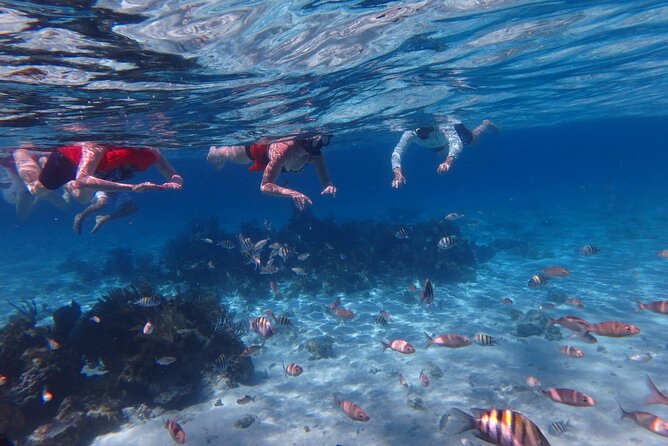 Private Tour to Stingray City & Snorkeling at Coral Gardens - Why A Private Boat Changes The Day