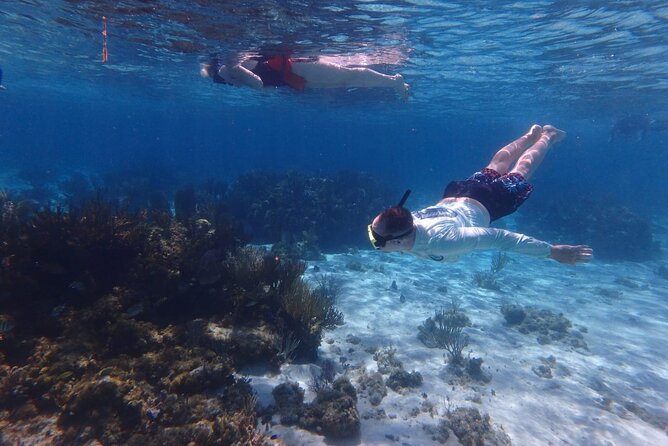 Private Tour to Stingray City & Snorkeling at Coral Gardens - Stingray City: Two Hours On The Sandbar