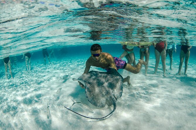Private Yacht 48 ft Sting Ray City, Snorkel & Starfish Beach - Mangroves and Rum Point, If Your Group Chooses