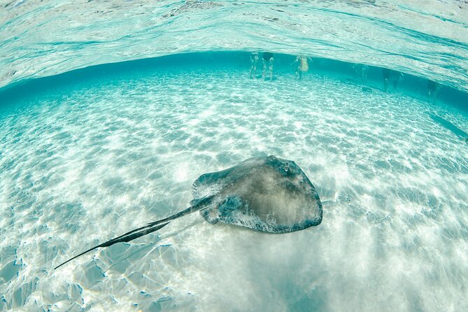 Private Yacht 48 ft Sting Ray City, Snorkel & Starfish Beach - The Jet Ski Comes With a Reservation Caveat