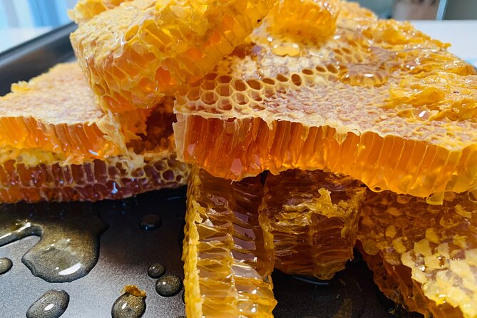 Reagan’s Honey Beekeeping Adventure - Why This Is Different From a Standard Grand Cayman Excursion