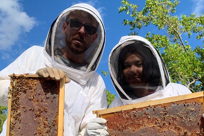 Reagan’s Honey Beekeeping Adventure - Walking Through the Apiary and Woodland