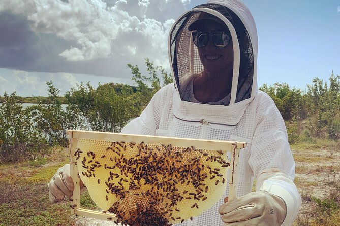 Reagan’s Honey Beekeeping Adventure - Who Should Book This Experience?