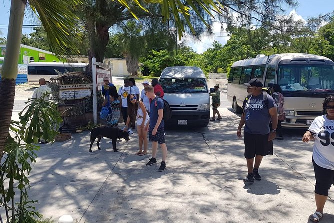 Scenic Island Private Tour - Key points before you book