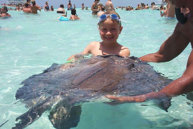 Small Group 7 Mile Beach Stingray City and Coral Gardens Tour - What the crew adds to the day