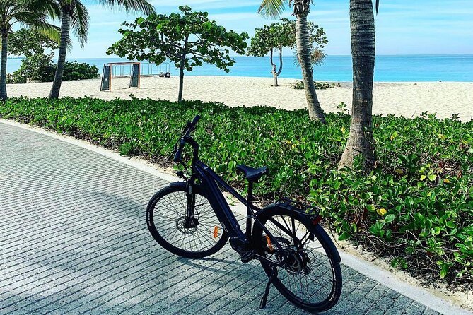 Small Group E-Bike Grand Cayman Ecological Half-Day Tour - Cemeteries, cottages, and everyday Caymanian life