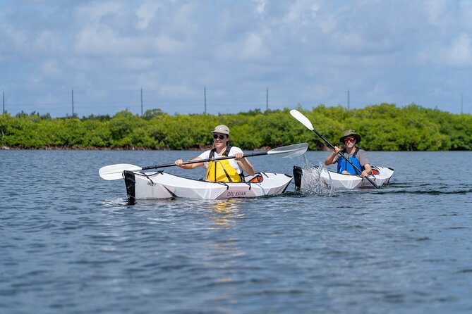 Small Group Glass Bottom Kayak Adventure- Cayman Islands - Key Details Before You Paddle
