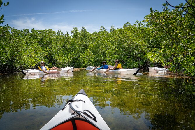 Small Group Glass Bottom Kayak Adventure- Cayman Islands - Starting at Anchors Store on Yacht Drive