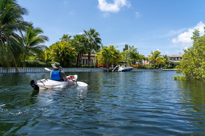 Small Group Glass Bottom Kayak Adventure- Cayman Islands - Safety, Equipment, and Physical Effort