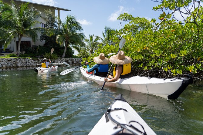 Small Group Glass Bottom Kayak Adventure- Cayman Islands - Paddling into Grand Cayman’s Red Mangroves
