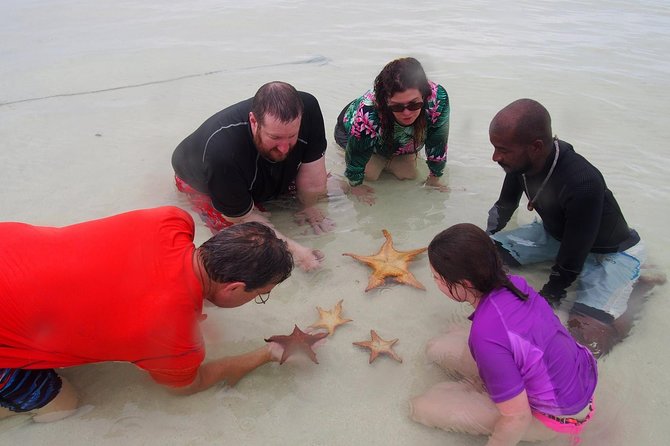 Starfish Point, Stingray City & Coral Garden (3-STOP Adventure) - Snorkeling at Coral Gardens