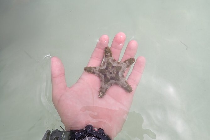 Starfish Point, Stingray City & Coral Garden (3-STOP Adventure) - Is the tour suitable for families and first-time snorkelers?