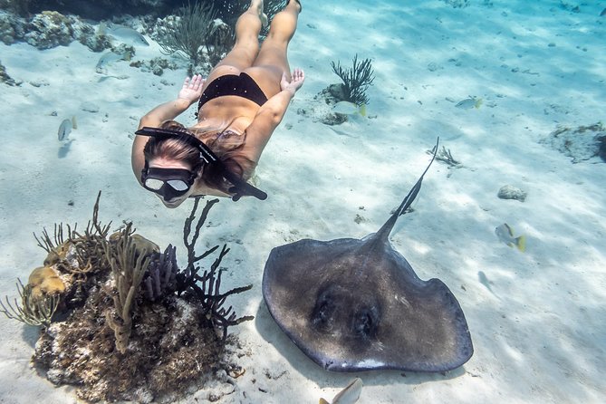 Starfish Point, Stingray City-Sandbar & Coral Gardens - What the $65 Price Really Covers