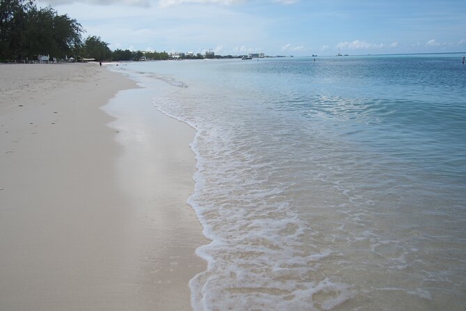 Stingray City and Seven Mile Beach Adventure Tour - How the schedule fits a cruise day