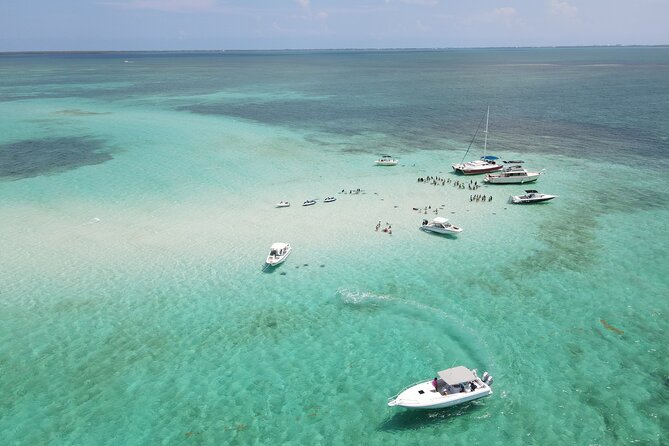 Stingray City and Seven Mile Beach Adventure Tour - Who will enjoy this outing most?