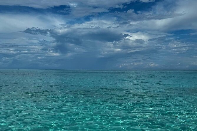 Stingray City and Snorkeling Private Charter - Searching the seagrass for starfish