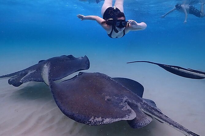 Stingray City and Starfish Experience with Coral Reef Snorkeling - Starfish Point: the calmest stop for children