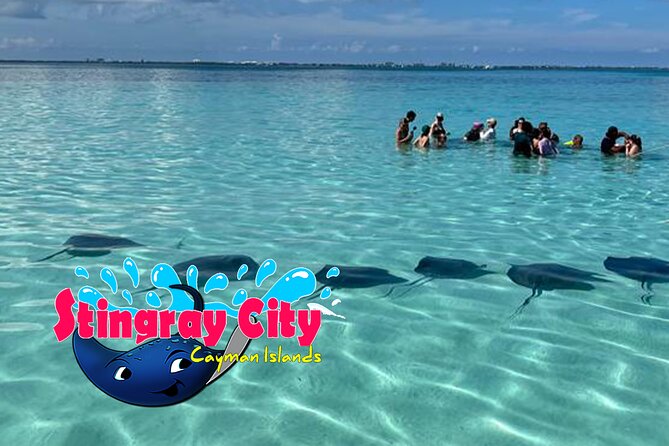 Stingray City and Starfish Experience with Coral Reef Snorkeling - Value, pace, and who should book