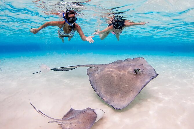 Stingray City and Starfish Experience with Coral Reef Snorkeling - Six practical tips for a smoother morning