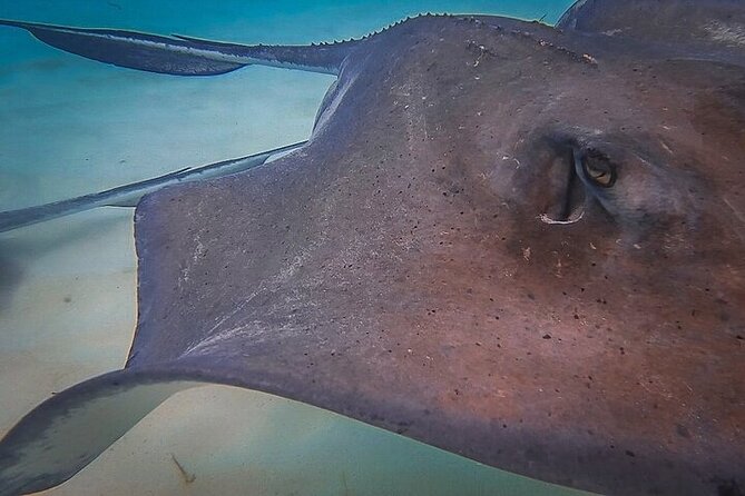 Stingray City Catamaran Sunset Tour - A Sunset Cruise With Simple Comforts