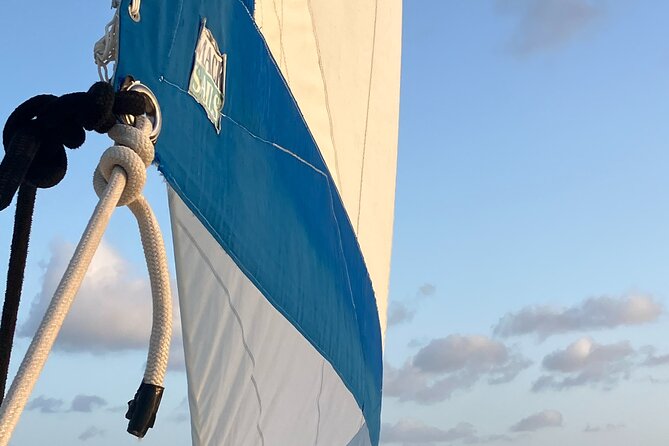 Stingray City Catamaran Sunset Tour - Practical Tips for a Smoother Outing