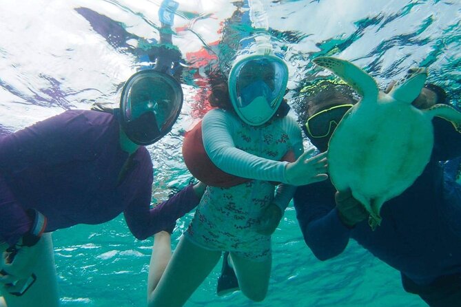 Stingray City Experience Plus One Snorkeling Stop - The Boat, Crew, And Onboard Support