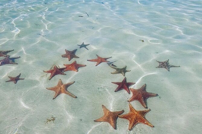 Stingray City Experience Plus Two Snorkeling spots Private Boat - How the $800 price works for your group