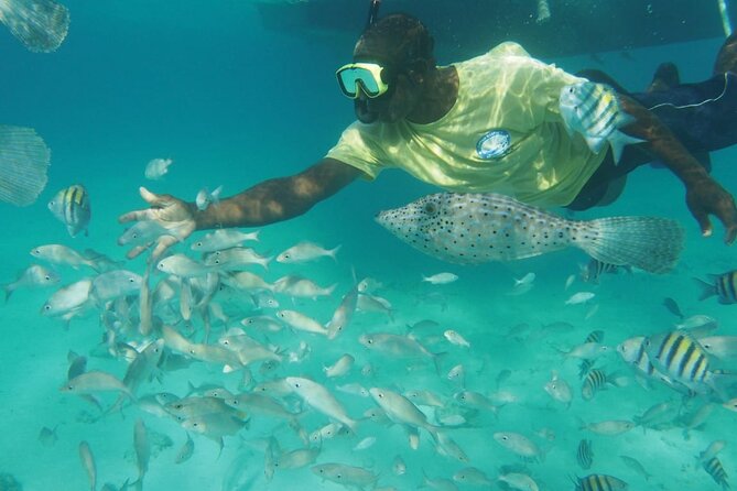 Stingray City Experience Plus Two Snorkeling Stops on Grand Cayman - Boats, comfort, and the pace of the ride