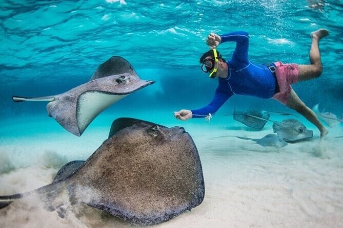Stingray City Sandbar, Coral Gardens Snorkeling & Star Fish Point - Coral Gardens: fish, coral, and a better-than-average snorkel