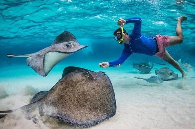 Stingray City Sandbar, Coral Gardens Snorkeling & Star Fish Point - What the boat day feels like