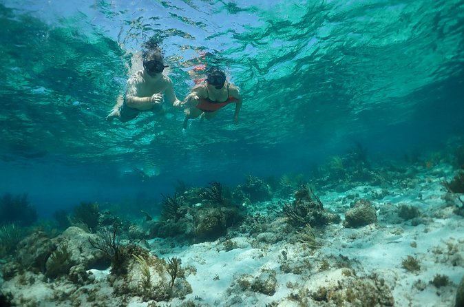 Stingray City Sandbar, Snorkel, Star fish Beach (Family operated) - Family Operation and Guide Support