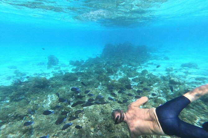 Stingray City, Star fish Point and Snorkeling Private Boat Tour - Starfish Point and the slower hour