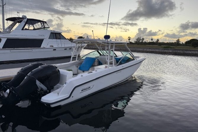 Stingray City, Star fish Point and Snorkeling Private Boat Tour - Drinks, snacks, photographs, and equipment