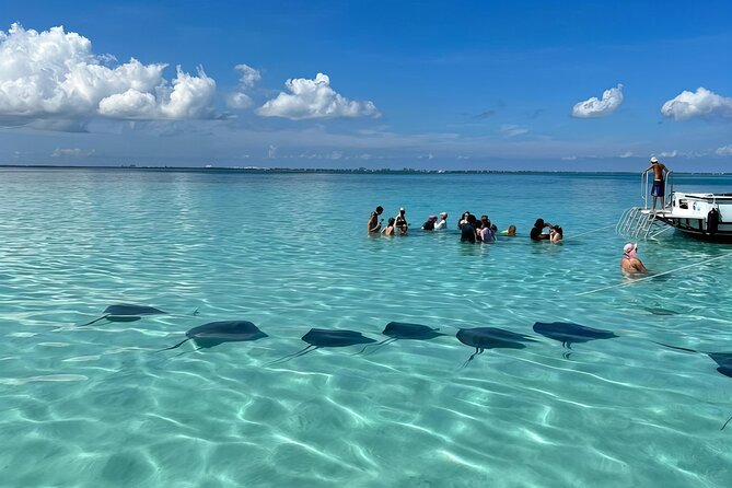 StingrayCity ,Coral Garden & Starfish Tour. - Six things to know before booking