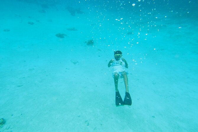 StingrayCity ,Coral Garden & Starfish Tour. - Practical details before you reserve